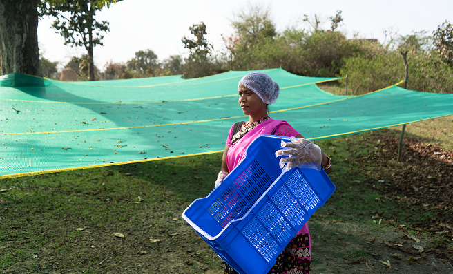 Economic empowerment