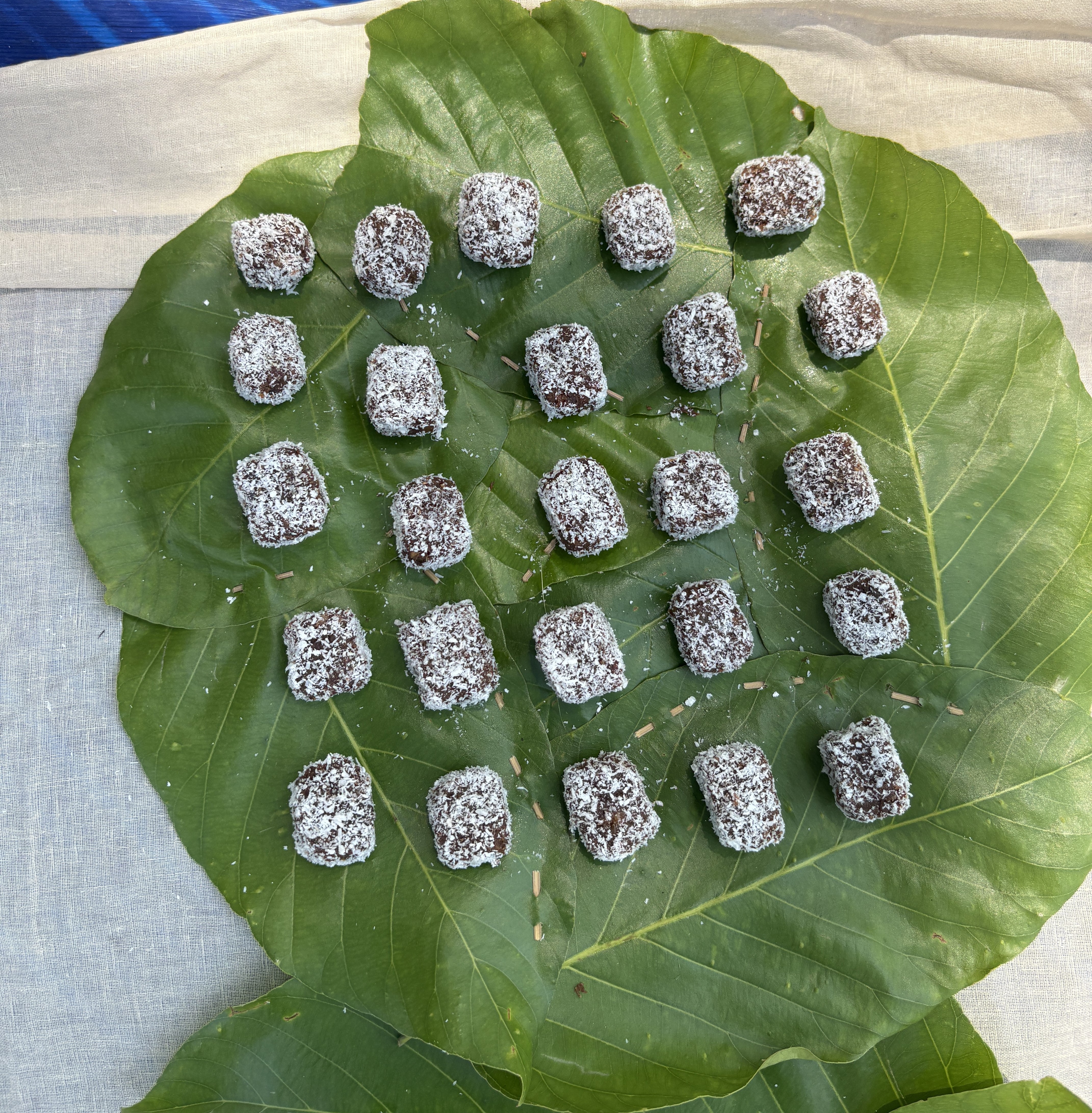Mahua Chocolate and Coconut Bars