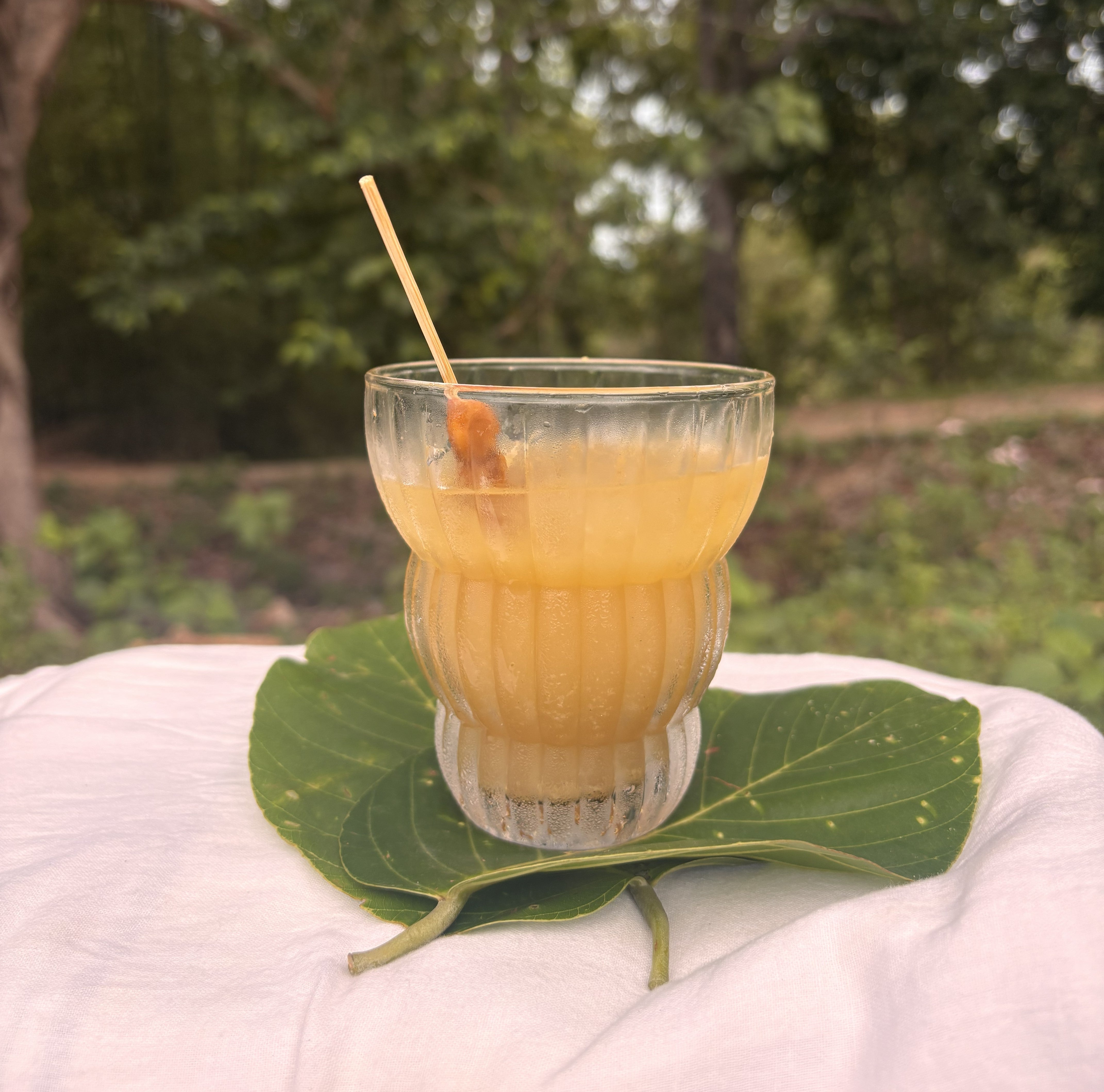Mango Mahua Forest Panna