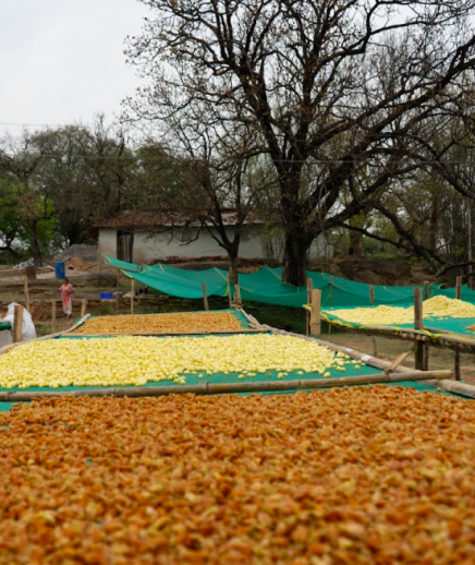 <p>Drying</p>